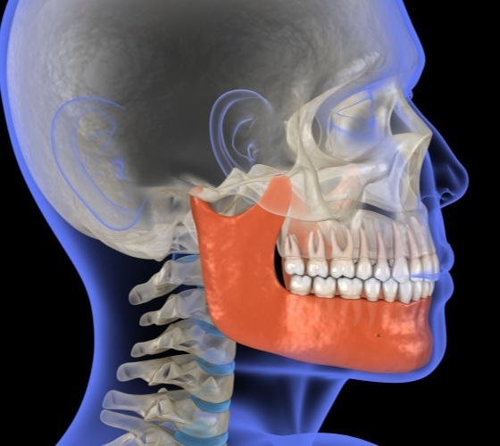 Animated jaw and skull bone used to plan T M J therapy