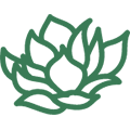 Magnolia Family Dentistry logo
