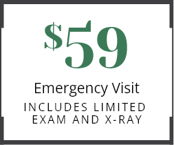 $55 New Patient visit banner stamp